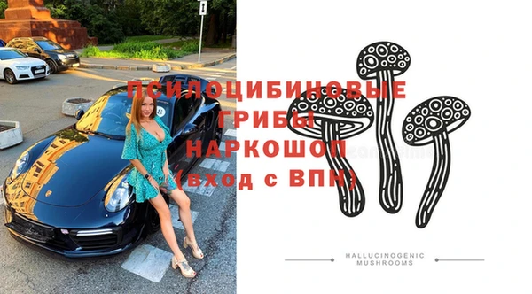 спайс Баксан